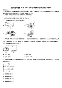 四川省绵阳市2025-2026学年初中物理毕业考试模拟冲刺卷（含答案解析）