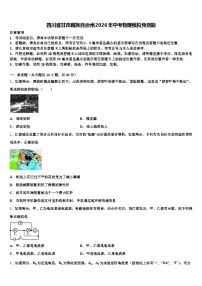 四川省甘孜藏族自治州2026年中考物理模拟预测题（含答案解析）