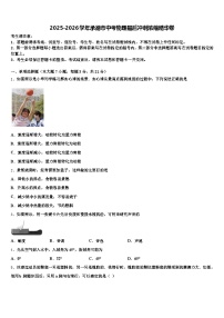 2025-2026学年承德市中考物理最后冲刺浓缩精华卷（含答案解析）