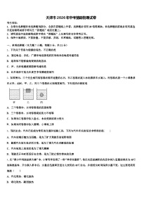 天津市2026年中考猜题物理试卷（含答案解析）