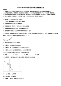 2025-2026学年枣庄市中考五模物理试题（含答案解析）
