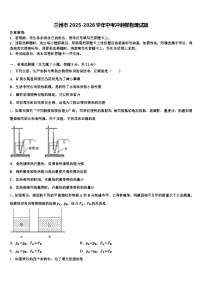 兰州市2025-2026学年中考冲刺卷物理试题（含答案解析）