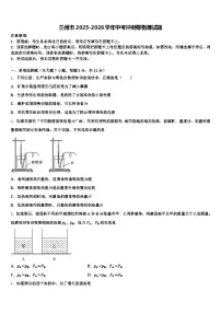 兰州市2025-2026学年中考冲刺卷物理试题（含答案解析）