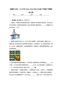 2026年安徽合肥一六八中学中考模拟物理练习卷含答案
