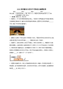 2026年安徽省合肥市中考模拟物理练习卷含答案