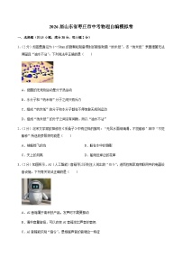 2026年山东省枣庄市中考模拟物理练习卷含答案
