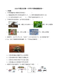2026年重庆市第一中学校中考模拟物理练习卷含答案一