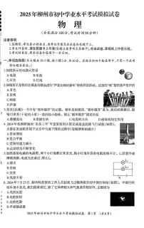 2025年广西壮族自治区柳州市中考二模物理试题
