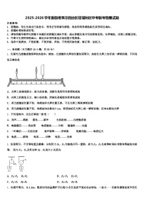 2025-2026学年新疆维吾尔自治区塔城地区中考联考物理试题（含答案解析）