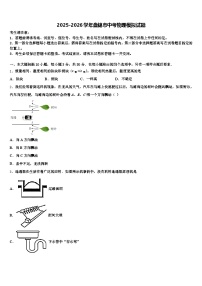 2025-2026学年盘锦市中考物理模拟试题（含答案解析）