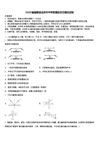 2026届福建省龙岩市中考物理适应性模拟试题（含答案解析）