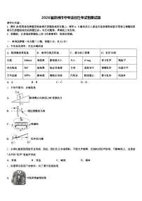 2026届郑州市中考适应性考试物理试题（含答案解析）