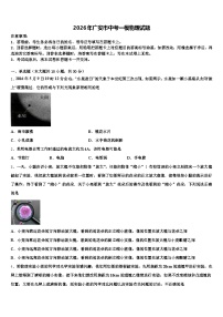 2026年广安市中考一模物理试题（含答案解析）