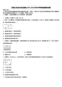 内蒙古自治区阿拉善盟2025-2026学年中考押题物理预测卷（含答案解析）