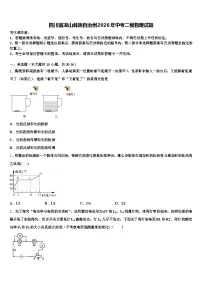 四川省凉山彝族自治州2026年中考二模物理试题（含答案解析）
