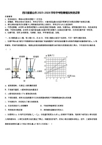 四川省眉山市2025-2026学年中考物理模拟预测试卷（含答案解析）