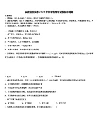 安徽省安庆市2026年中考物理考试模拟冲刺卷（含答案解析）