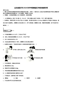 山东省临沂市2026年中考物理最后冲刺浓缩精华卷（含答案解析）