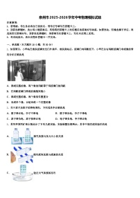泉州市2025-2026学年中考物理模拟试题（含答案解析）