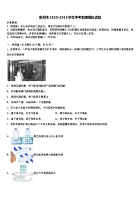 泉州市2025-2026学年中考物理模拟试题（含答案解析）