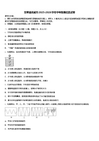 甘肃省武威市2025-2026学年中考物理仿真试卷（含答案解析）