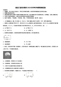 黑龙江省佳木斯市2026年中考冲刺卷物理试题（含答案解析）