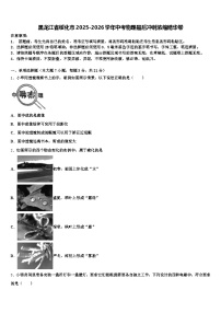 黑龙江省绥化市2025-2026学年中考物理最后冲刺浓缩精华卷（含答案解析）