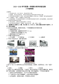 河北保定市高碑店市2025-2026学年八年级上学期1月期末物理试题（含答案）