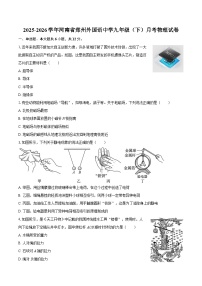 河南省郑州外国语中学2025-2026学年九年级（下）月考物理试卷（含答案）