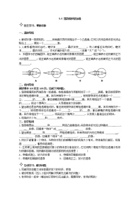 人教版八年级上册第5节 显微镜和望远镜学案设计