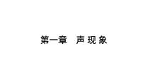 2021年春人教版物理中考专题复习课件《声 现 象》（共31张PPT）