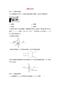 2021年中考物理总复习专题训练《透镜与应用》（含解析）