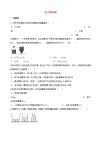 2021年中考物理必考点专项训练压力和压强含解析