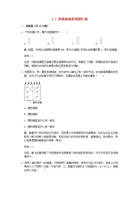 2020_2021学年八年级物理上册4.2透镜期末复习高频易错题汇编含解析新版苏科版