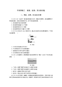 中考物理专题复习  专项突破二  密度、压强、浮力综合题(含解析)