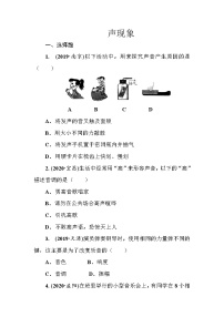 2021年春人教版九年级物理中考考点过关训练《声现象》（Word版附答案）