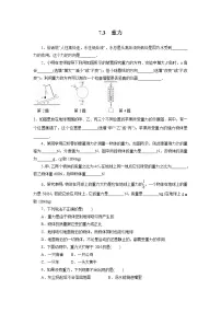初中物理7.3 重力同步测试题