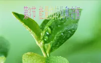 初中物理人教版九年级全册第十四章 内能的利用第3节 能量的转化和守恒教学课件ppt