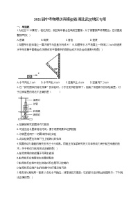 2021届中考物理仿真模拟卷 湖北武汉地区专用