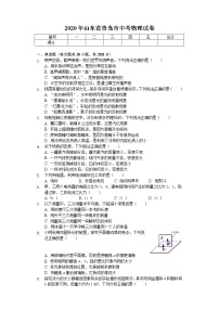 2020年山东省青岛市中考物理试卷