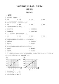 2020年上海市中考物理试题(含解析)