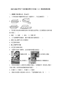 广东省肇庆四中2017-2018学年八年级（上）期末物理试卷（解析版）