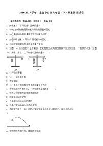 广东省中山市2016-2017学年八年级（下）期末物理试卷（解析版）