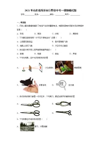 2021年山东省菏泽市巨野县中考一模物理试题(word版 含答案)