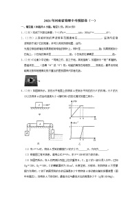 2021年河南省物理中考模拟卷（一）（word版 含答案）