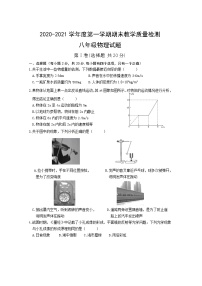 山东省济宁市汶上县2020-2021学年八年级上学期期末考试物理试题（word版 含答案）