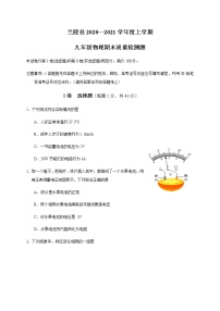 山东省临沂市兰陵县2020-2021学年九年级上学期期末考试物理试题（word版 含答案）