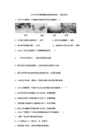 2021年中考物理模拟试题专题训练——物态变化