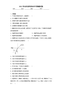 2021年山东省枣庄市中考物理试题真题及答案 (wrod版)