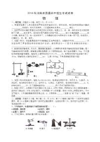 河南省2018年中考物理试题（word版，含答案）